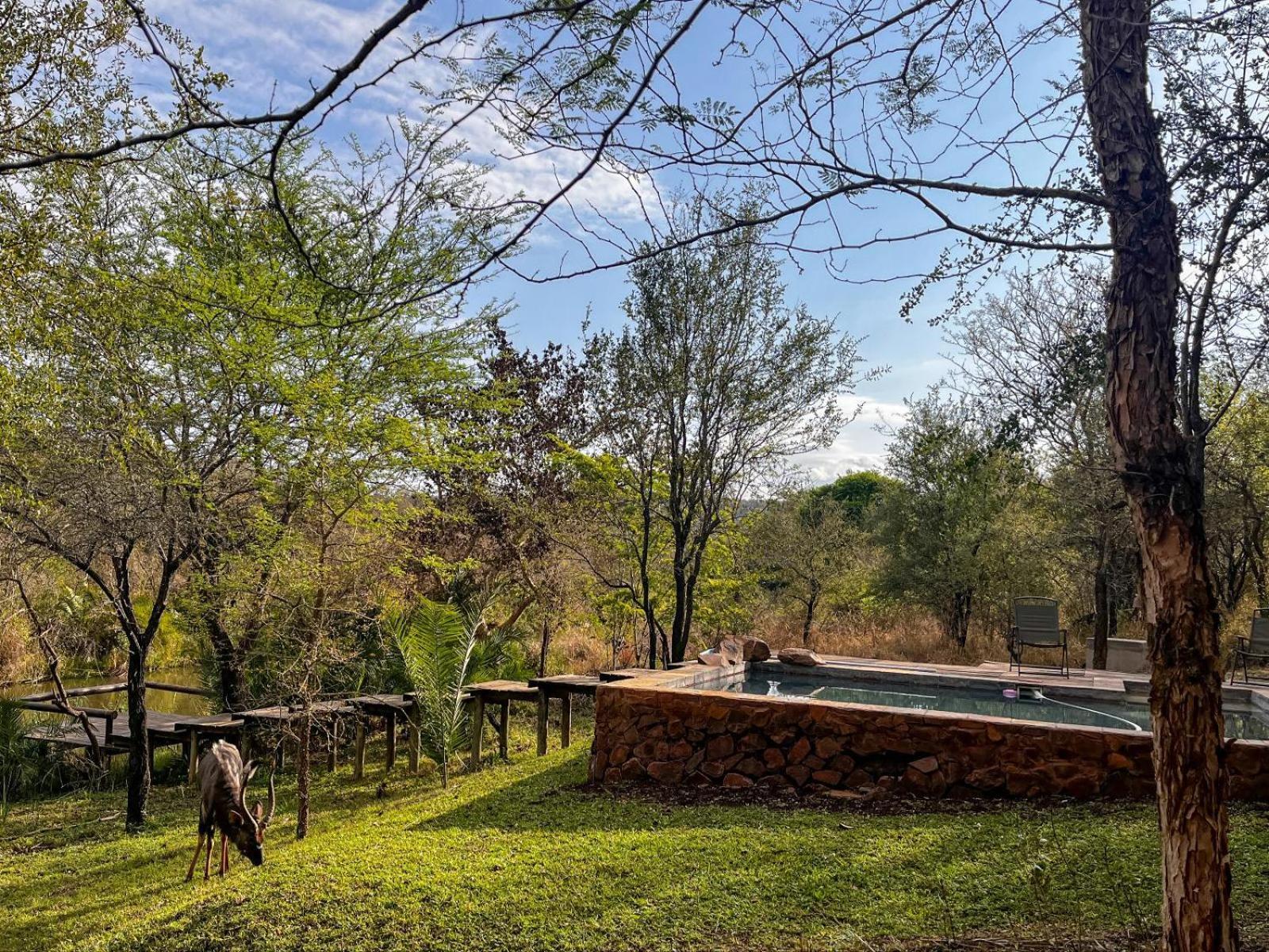 Mbuluzi Game Reserve Simunye Zimmer foto