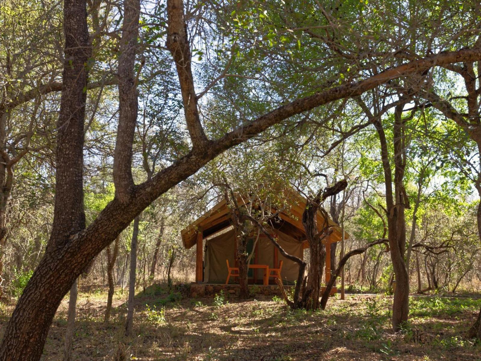 Mbuluzi Game Reserve Simunye Zimmer foto